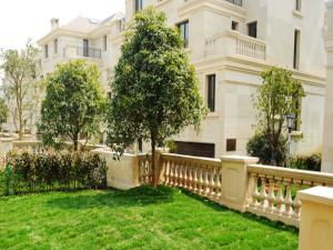 金华住宅与商业地产租赁市场动态及指南