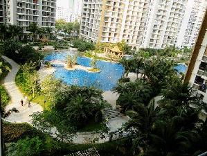 三亚住宅租房市场 房产租赁趋势与物业管理要点解析